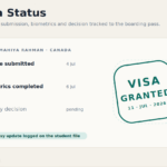 10-visa-status
